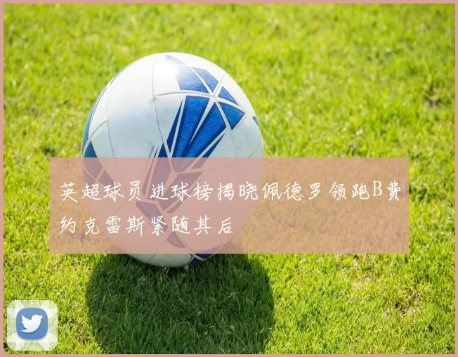 英超球员进球榜揭晓佩德罗领跑B费约克雷斯紧随其后