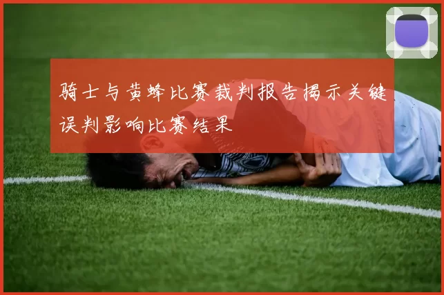 骑士与黄蜂比赛裁判报告揭示关键误判影响比赛结果