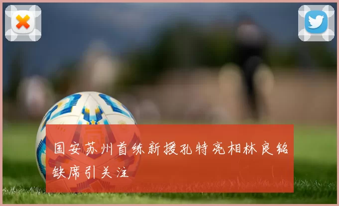 国安苏州首练新援孔特亮相林良铭缺席引关注